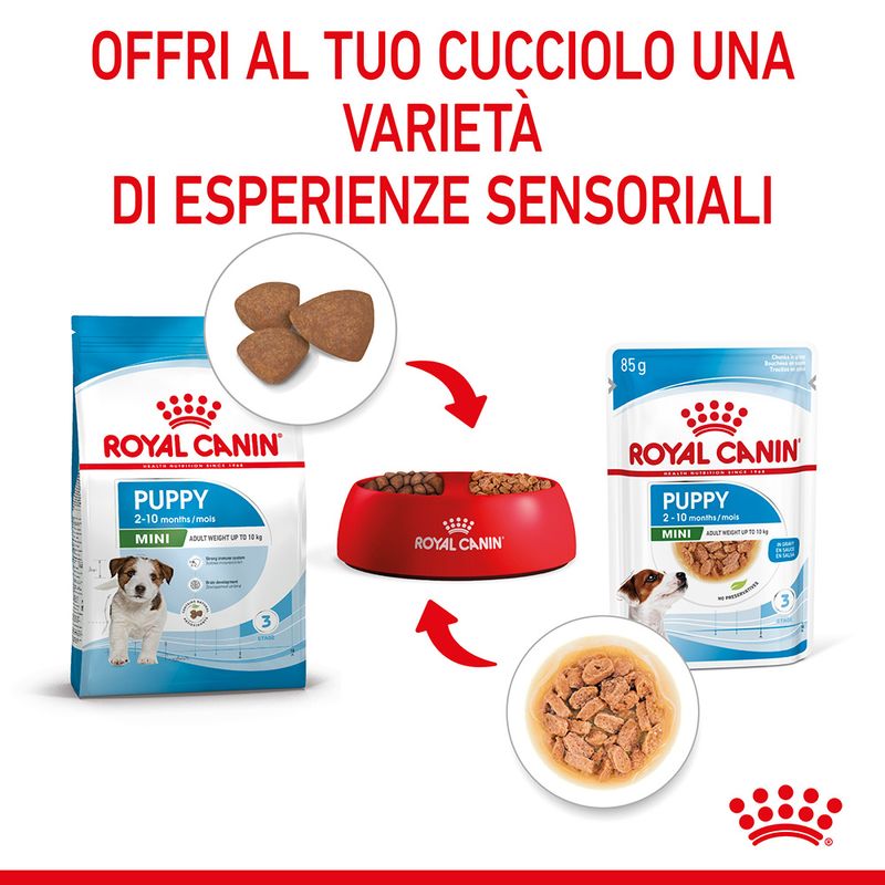 12x85g Royal Canin Mini Puppy - Cibo Umido per Cani Cuccioli 12x85g Royal Canin Mini Puppy - Cibo Umido per Cani Cuccioli